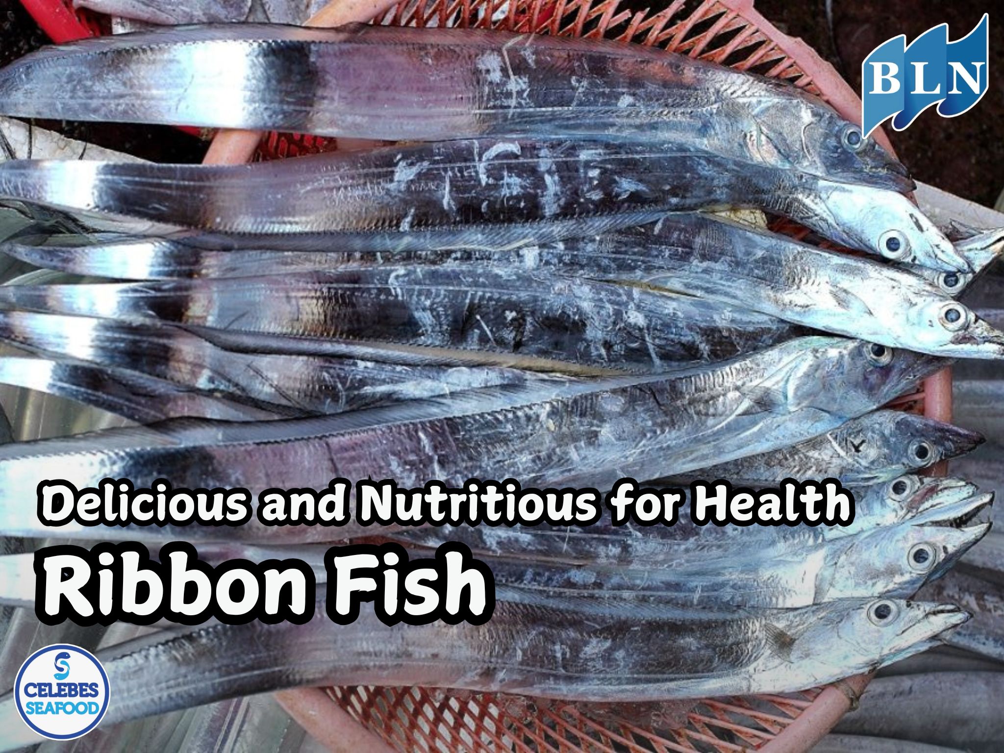 Ribbon Fish, Delicious and Nutritious for Health